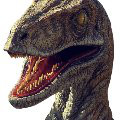 Obrázek uživatele Raptor