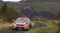 rally ireland