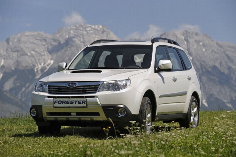 Forester Country