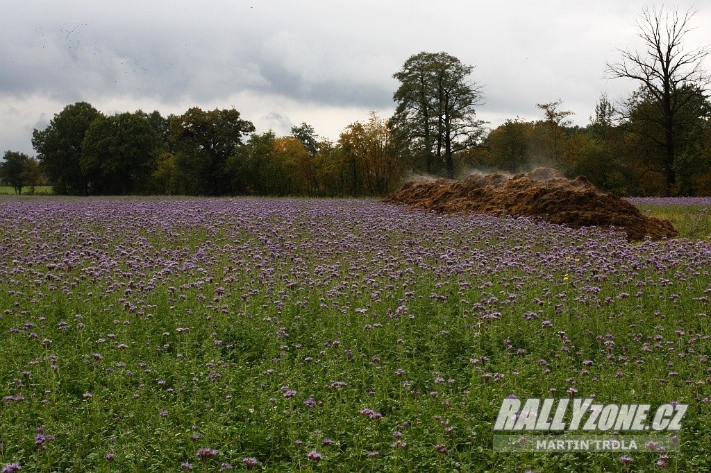 Lausitz Rallye (GER)