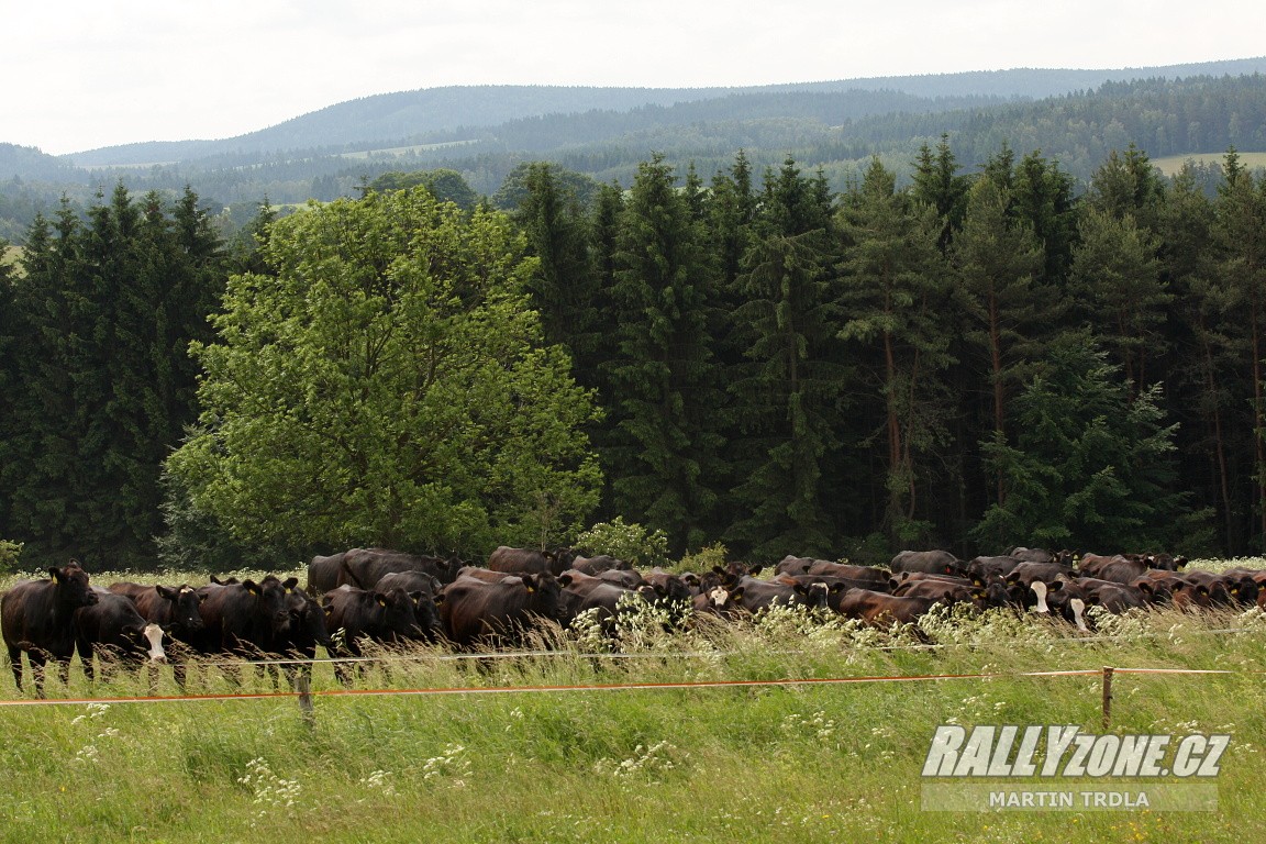 Rally Krkonoše (CZE)