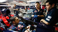 Toro Rosso