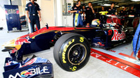 Toro Rosso