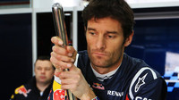 Webber, Mark