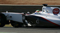 Sauber C30