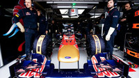 Toro Rosso