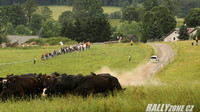 Rally Krkonoše (CZE)