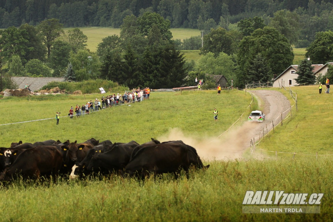 Rally Krkonoše (CZE)