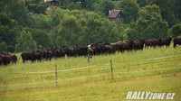 rally krkonoše