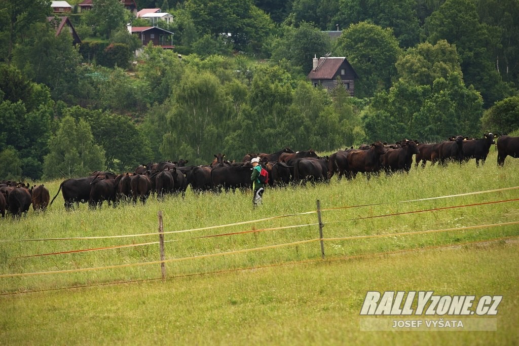 rally krkonoše