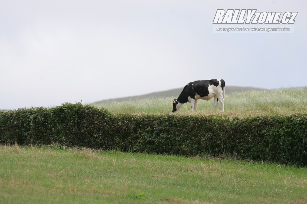 Rally Acores (PRT)