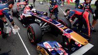 Toro Rosso