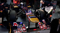 Toro Rosso