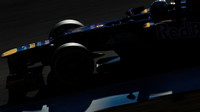 Toro Rosso