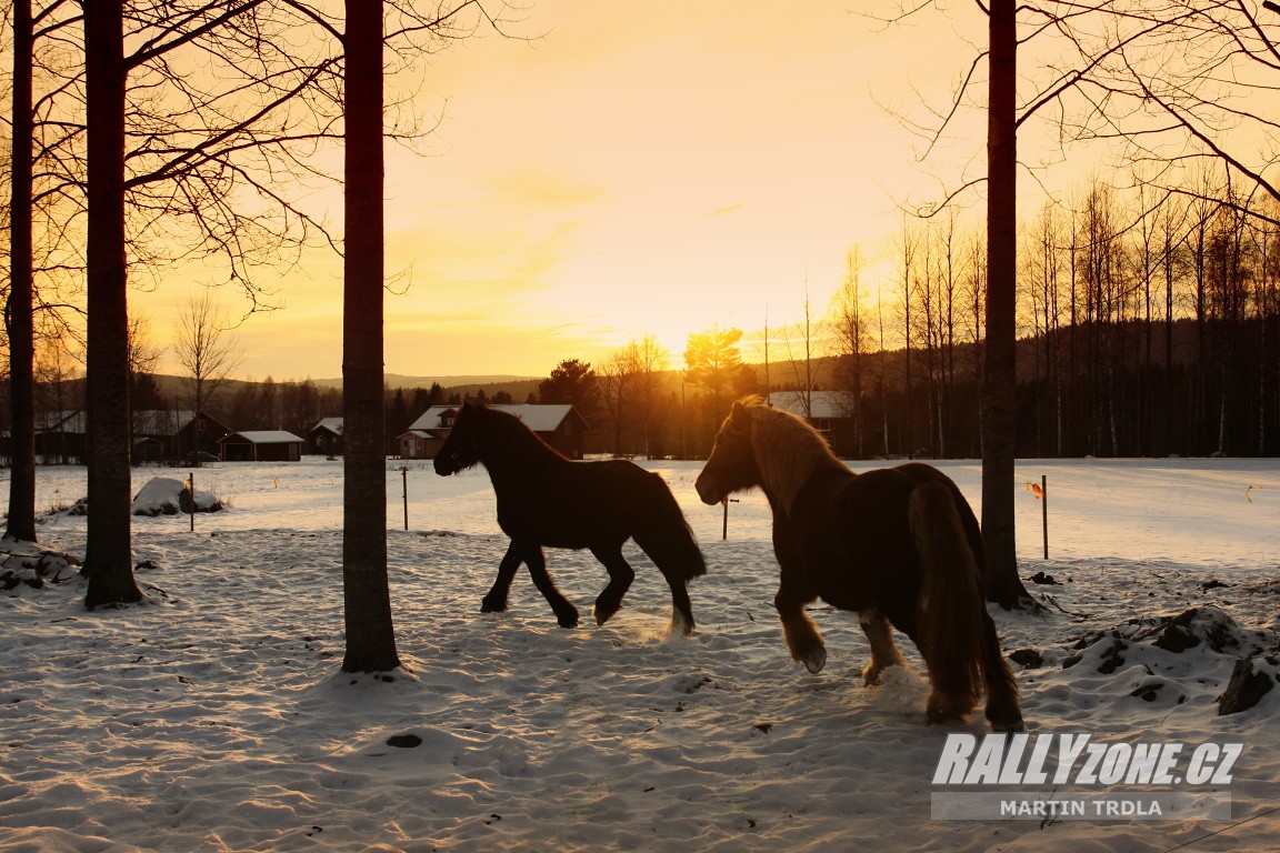 Rally Sweden (SWE)