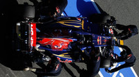 Toro Rosso