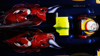 Toro Rosso