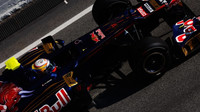 Toro Rosso