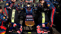 Toro Rosso