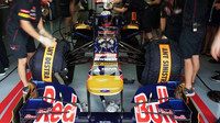 Toro Rosso