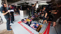 Toro Rosso