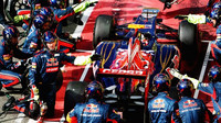 Toro Rosso