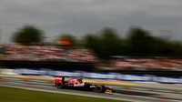 Toro Rosso