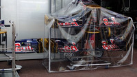 Toro Rosso