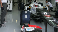 Sauber