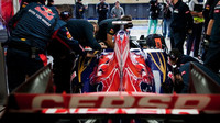 Toro Rosso