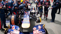 Toro Rosso