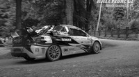 rally bohemia