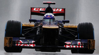 Toro Rosso