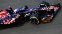 Toro Rosso