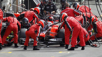 Marussia