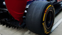 Toro Rosso