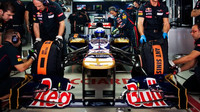 Toro Rosso