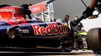 Toro Rosso