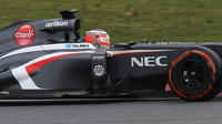 Hülkenberg, Nico