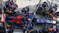 Toro Rosso