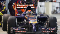 Toro Rosso