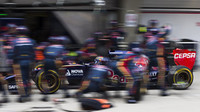 Toro Rosso