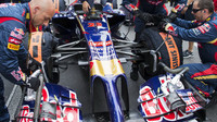 Toro Rosso