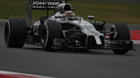 Magnussen, Kevin