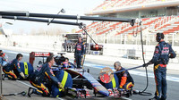 Toro Rosso