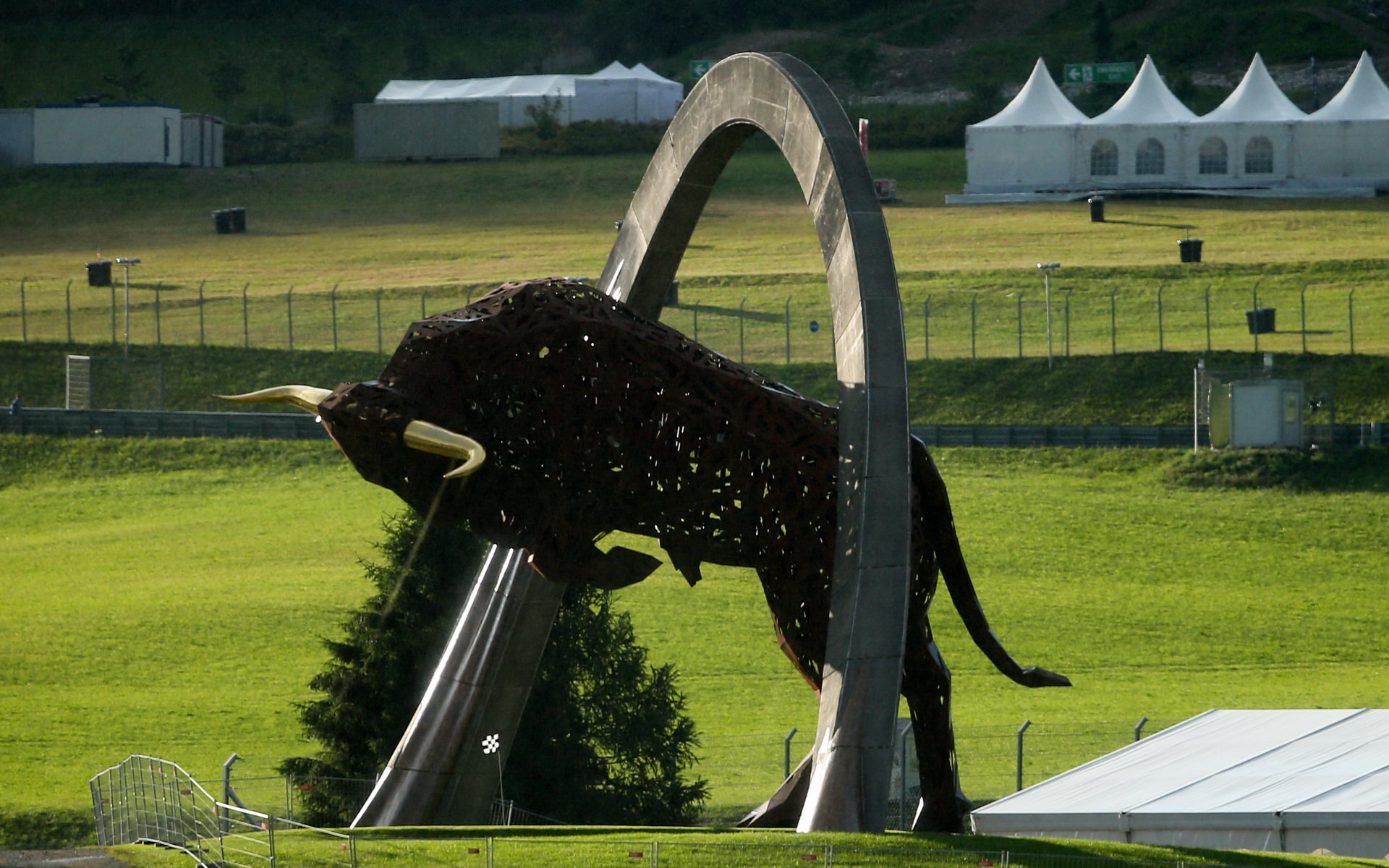 Býk na okruhu Red Bull Ring