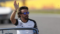 Fernando Alonso v Suzuce