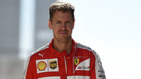 Sebastian Vettel v Soči
