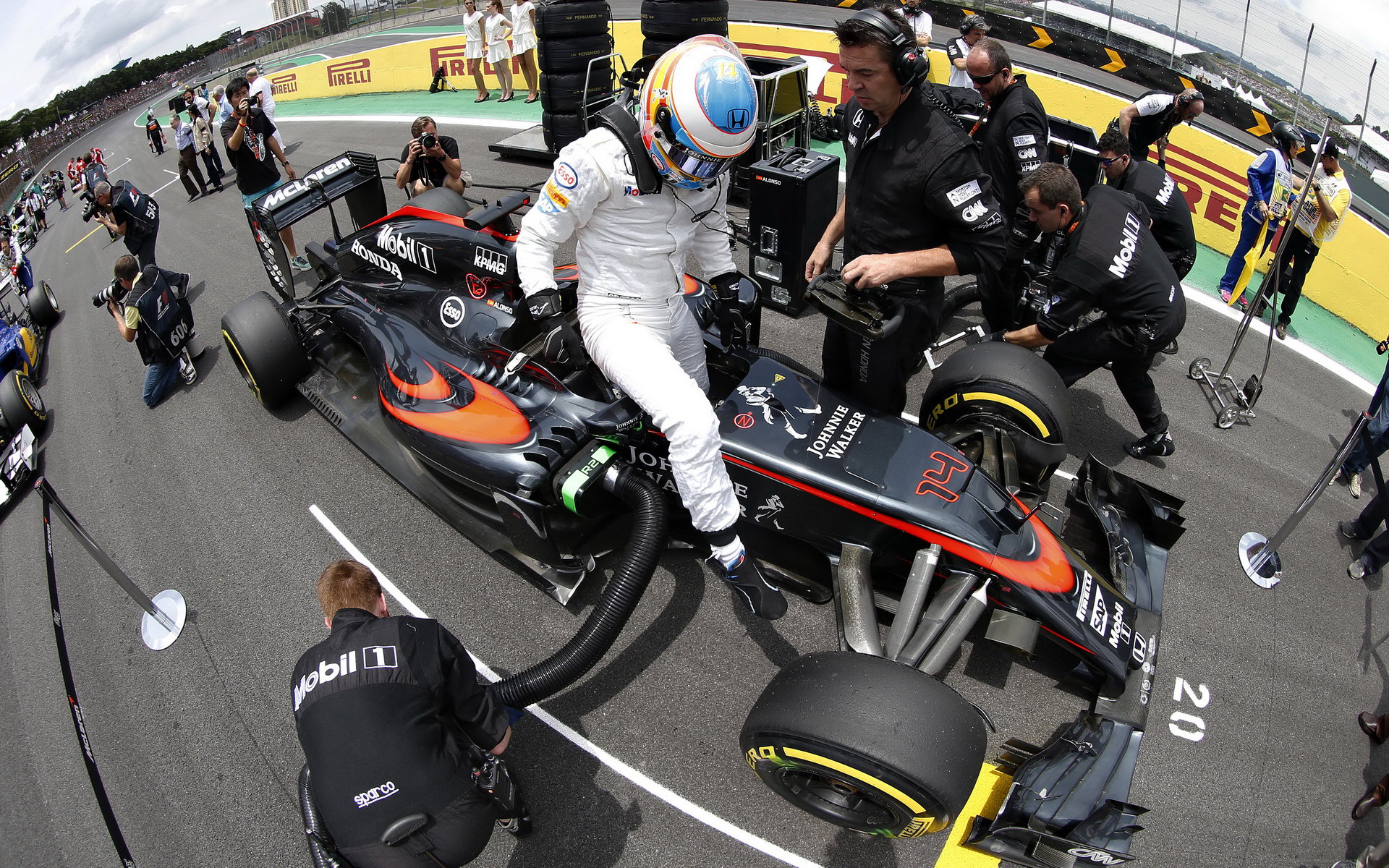 Fernando Alonso se připravuje na startovním roštu v Brazílii