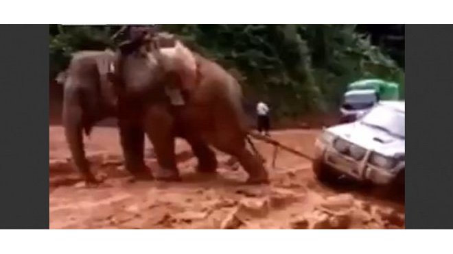 Zapadnete-li s off-roadem v bahně, povolejte si na pomoc slona